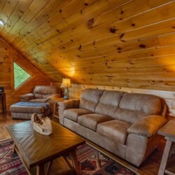 blue ridge pet friendly cabins