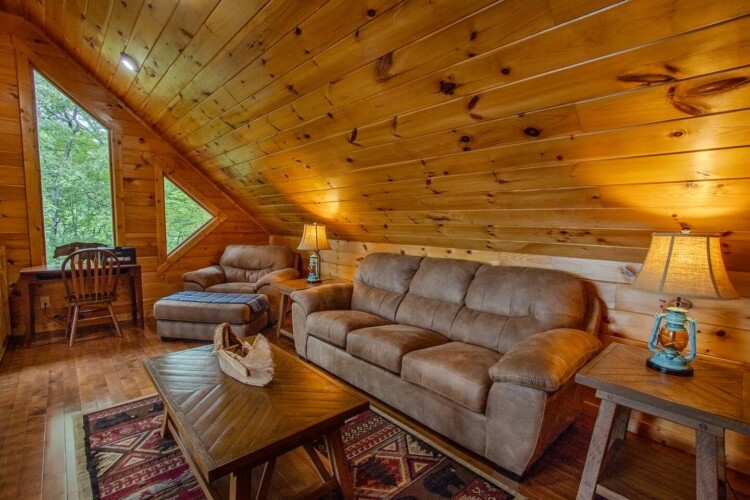 blue ridge pet friendly cabins