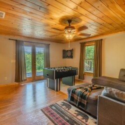 blue ridge pet friendly cabins