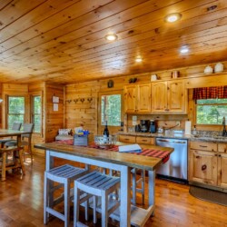 blue ridge pet friendly cabins