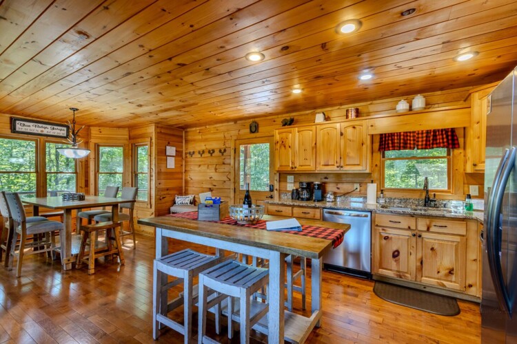blue ridge pet friendly cabins