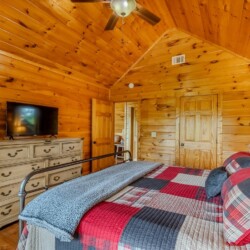 blue ridge pet friendly cabins