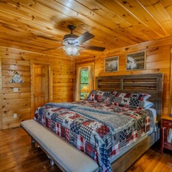 blue ridge pet friendly cabins