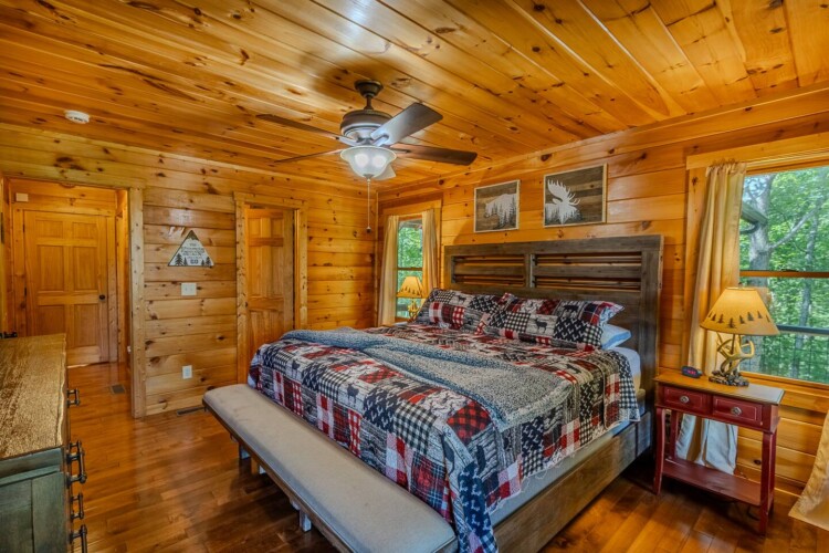 blue ridge pet friendly cabins