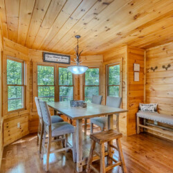 blue ridge pet friendly cabins