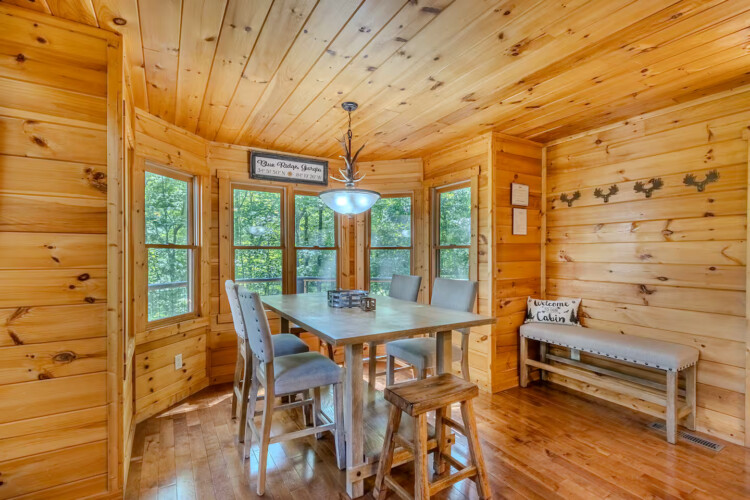 blue ridge pet friendly cabins