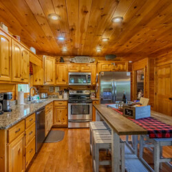 blue ridge pet friendly cabins