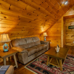 blue ridge pet friendly cabins