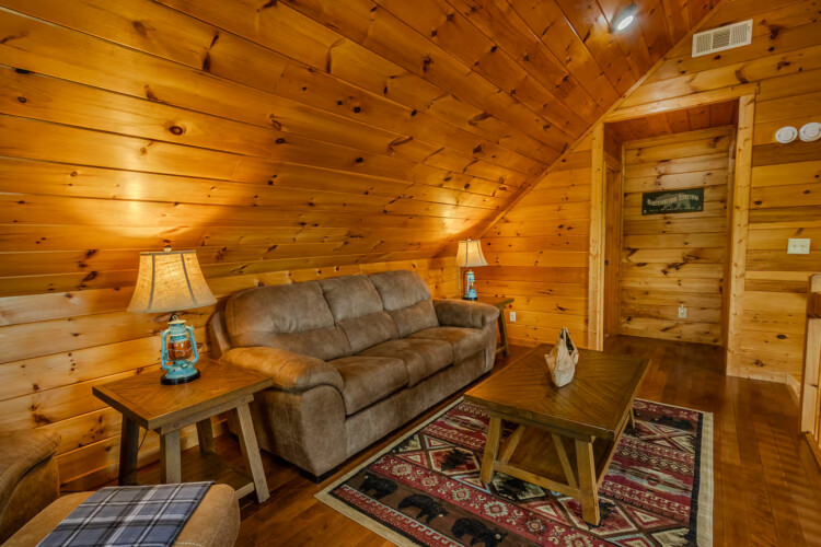 blue ridge pet friendly cabins