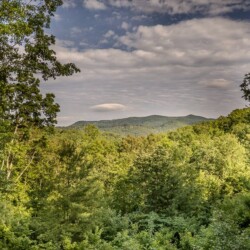 blue ridge pet friendly cabins