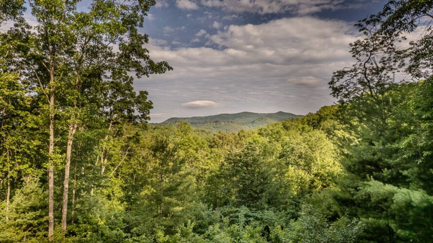 blue ridge pet friendly cabins