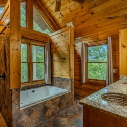 blue ridge pet friendly cabins