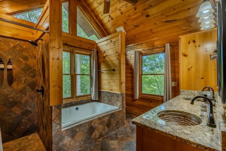 blue ridge pet friendly cabins