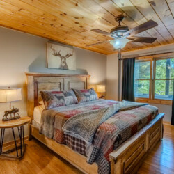 blue ridge pet friendly cabins