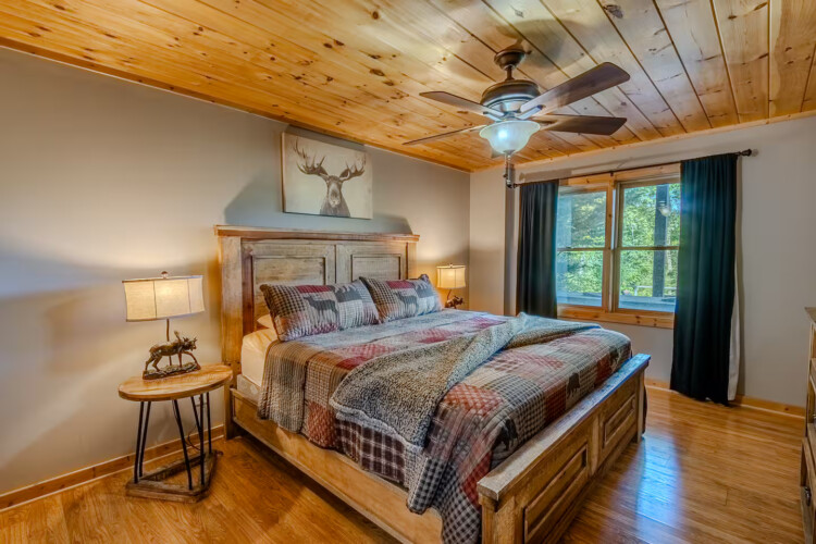blue ridge pet friendly cabins