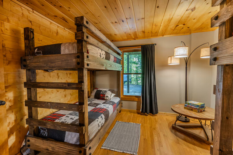 blue ridge pet friendly cabins