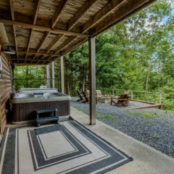 blue ridge pet friendly cabins