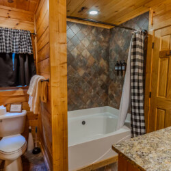 blue ridge pet friendly cabins