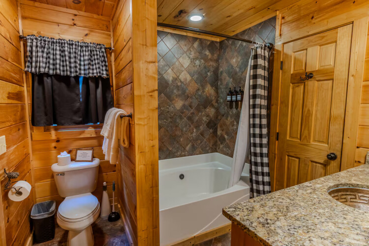 blue ridge pet friendly cabins