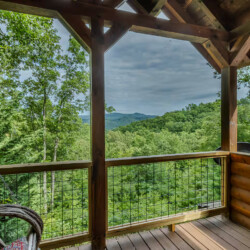 blue ridge pet friendly cabins