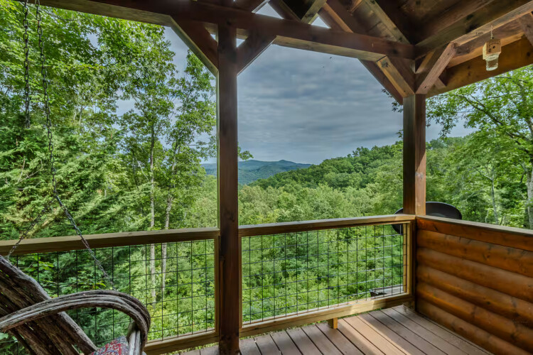 blue ridge pet friendly cabins