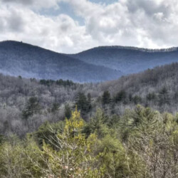 cabins in epworth ga