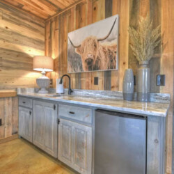 cabins in epworth ga