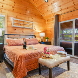 cabin rentals for large groups in pigeon forge
