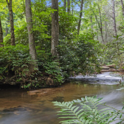 creekside cherry log ga cabin rentals