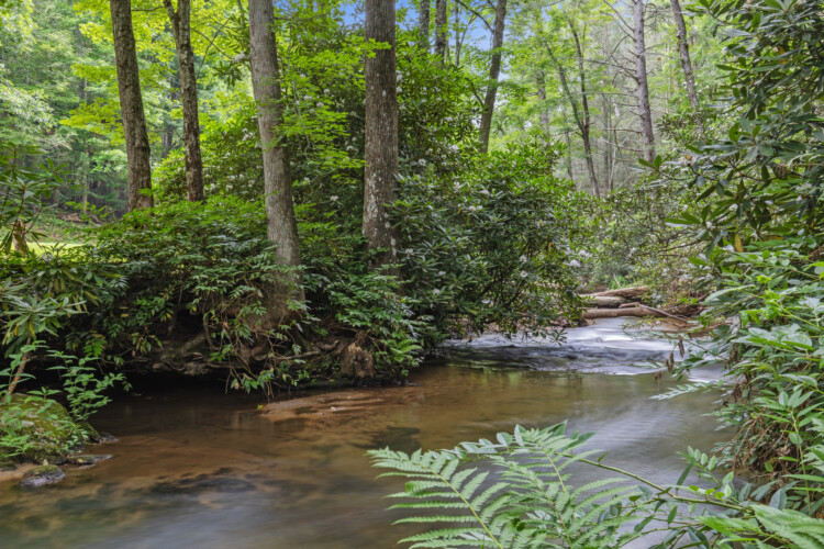 creekside cherry log ga cabin rentals