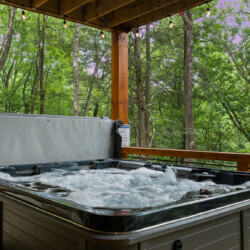 creekside cherry log ga cabin rentals