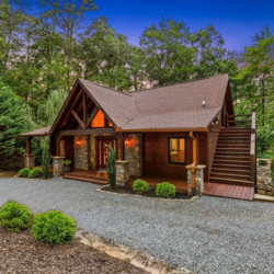 north georgia pet friendly cabins
