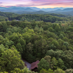 north georgia pet friendly cabins