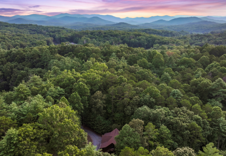 north georgia pet friendly cabins