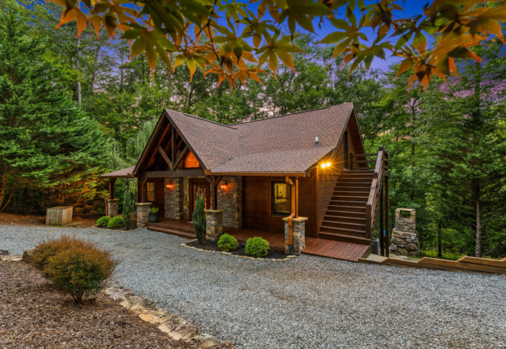 north georgia pet friendly cabins