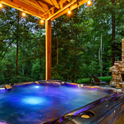 north georgia pet friendly cabins