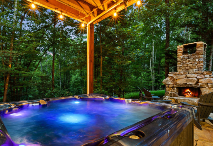 north georgia pet friendly cabins