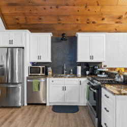 north georgia pet friendly cabins