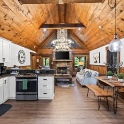 north georgia pet friendly cabins