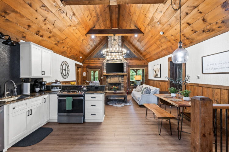 north georgia pet friendly cabins