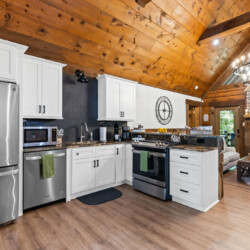 north georgia pet friendly cabins