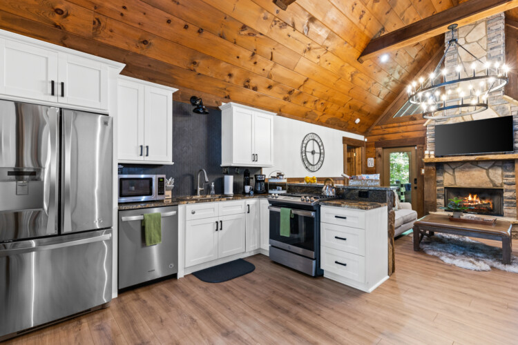 north georgia pet friendly cabins
