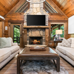 north georgia pet friendly cabins