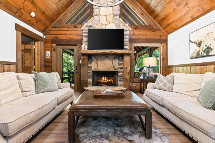 north georgia pet friendly cabins