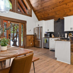 north georgia pet friendly cabins