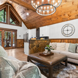 north georgia pet friendly cabins