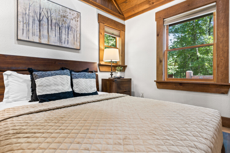 north georgia pet friendly cabins
