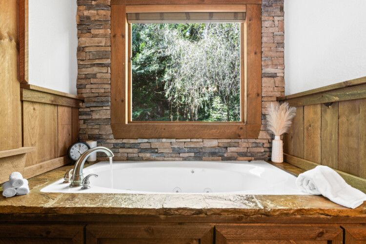 north georgia pet friendly cabins