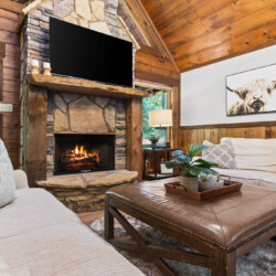 north georgia pet friendly cabins