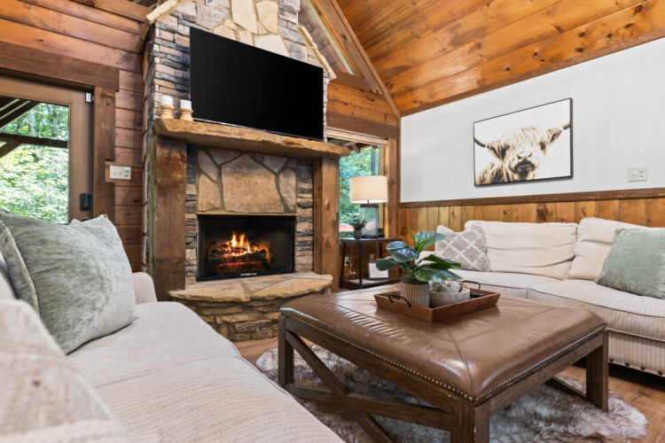 north georgia pet friendly cabins